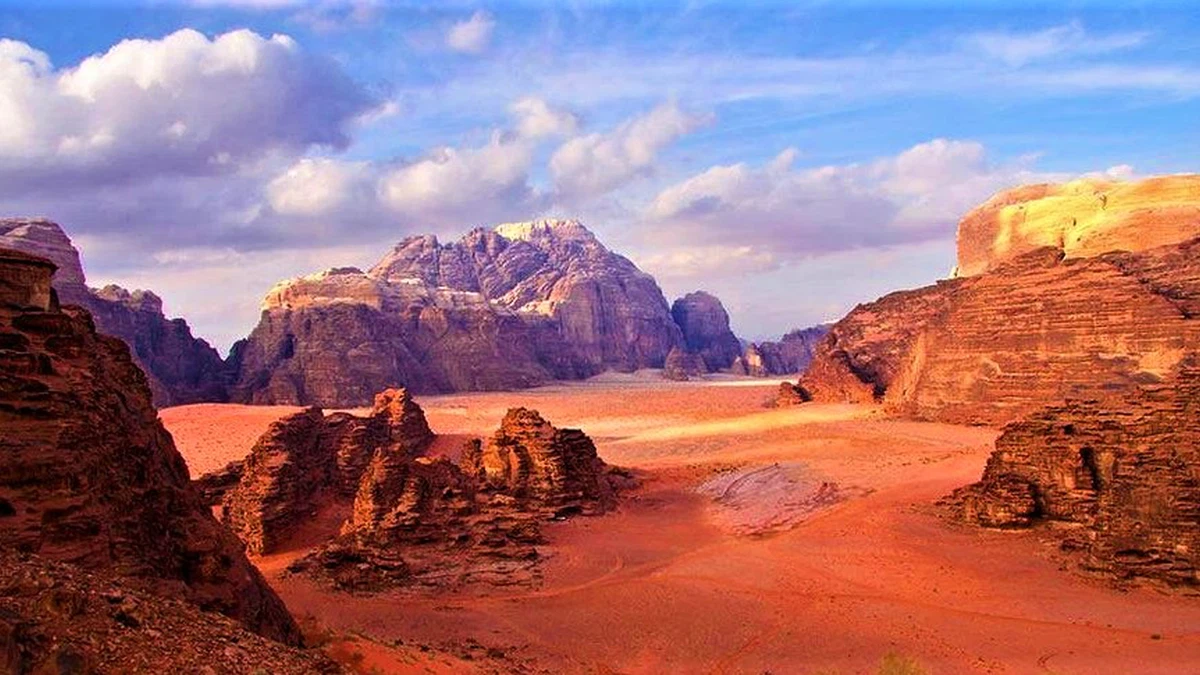 صورة 2